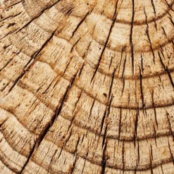 Indoor/Outdoor Faux Concrete Stump Accent Table Brown - Threshold™ Designed With Studio McGee -Furniture Shop GUEST 03deabfd 2b62 4725 94b4 09a321ea8678